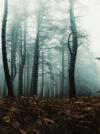 Taxkit Mid Grey Blazer